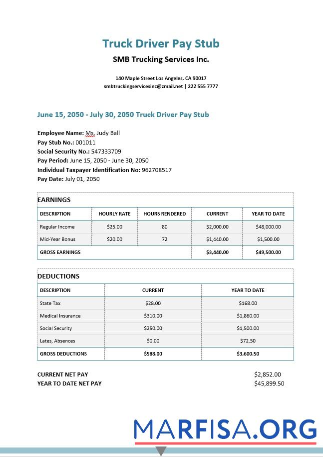 Realistic SMB trucking services Inc. pay stubs sample